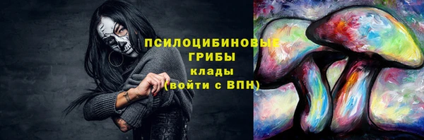 твердый Лагань