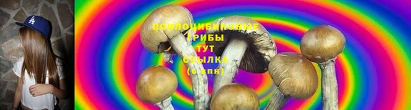 твердый Алексин