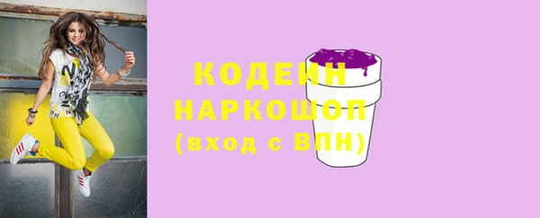 мдпв Лабытнанги