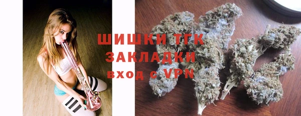 гашик Алзамай
